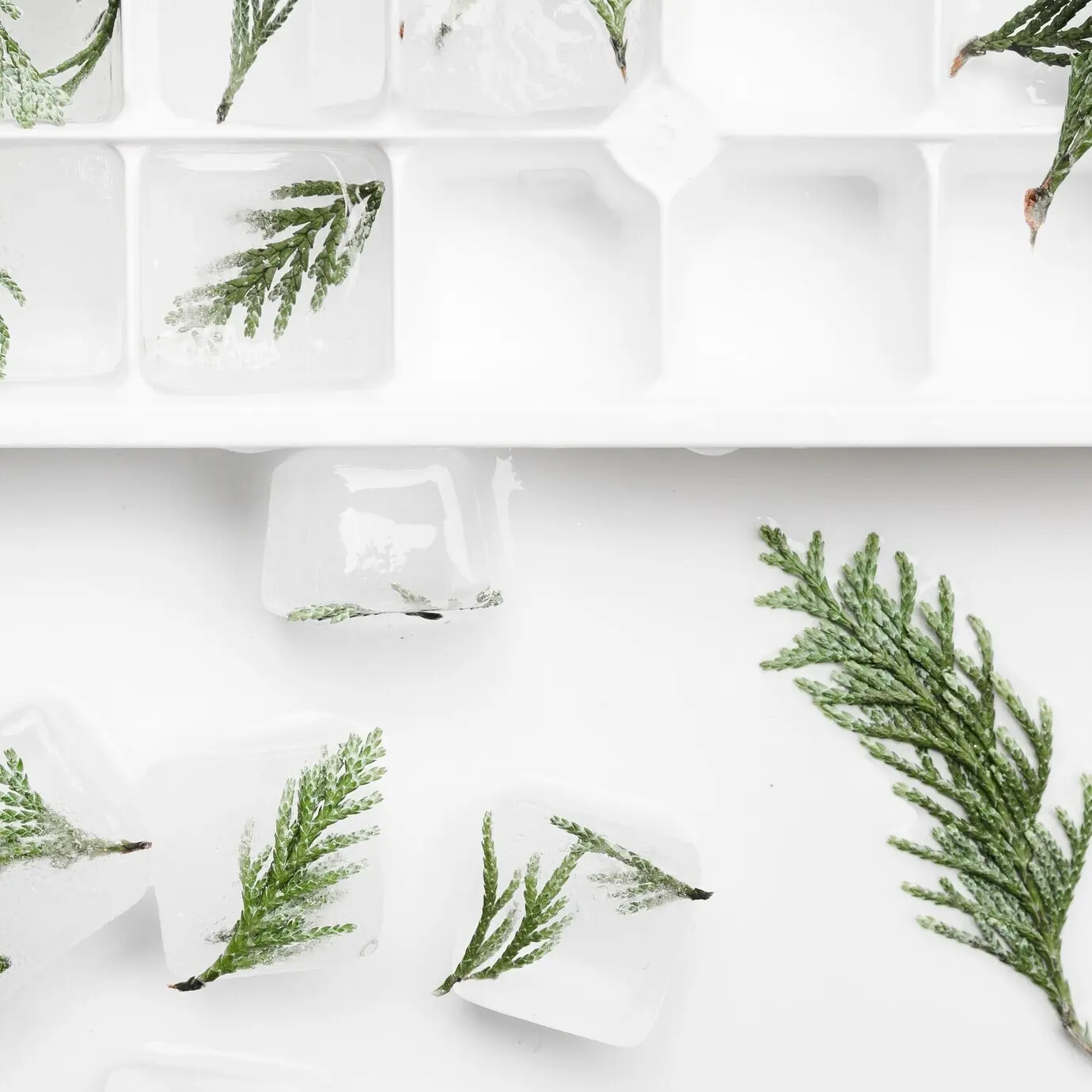 Веточки, замороженные в кубиках льда